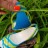 Кроксы босоножки Crocs Huarache Flat W6 - Босоножки Crocs фото 3