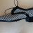 Туфли Pertini р. 36 кожа - Туфли с острым носком фото 5