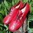 Туфли Caprice Германия р. 39-40 - Красные мокасины Caprice фото 1