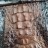 Сумка из кожи крокодила  - Женская сумка из крокодиловой кожи фото 3