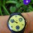 Часы Swatch Swiss Швейцария  - Часы Swatch Швейцария фото 1